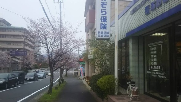 10417438_1144179932293336_2836770029626351091_n